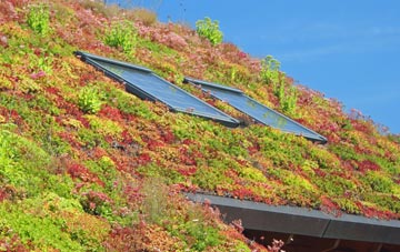 Catforth living roof systems